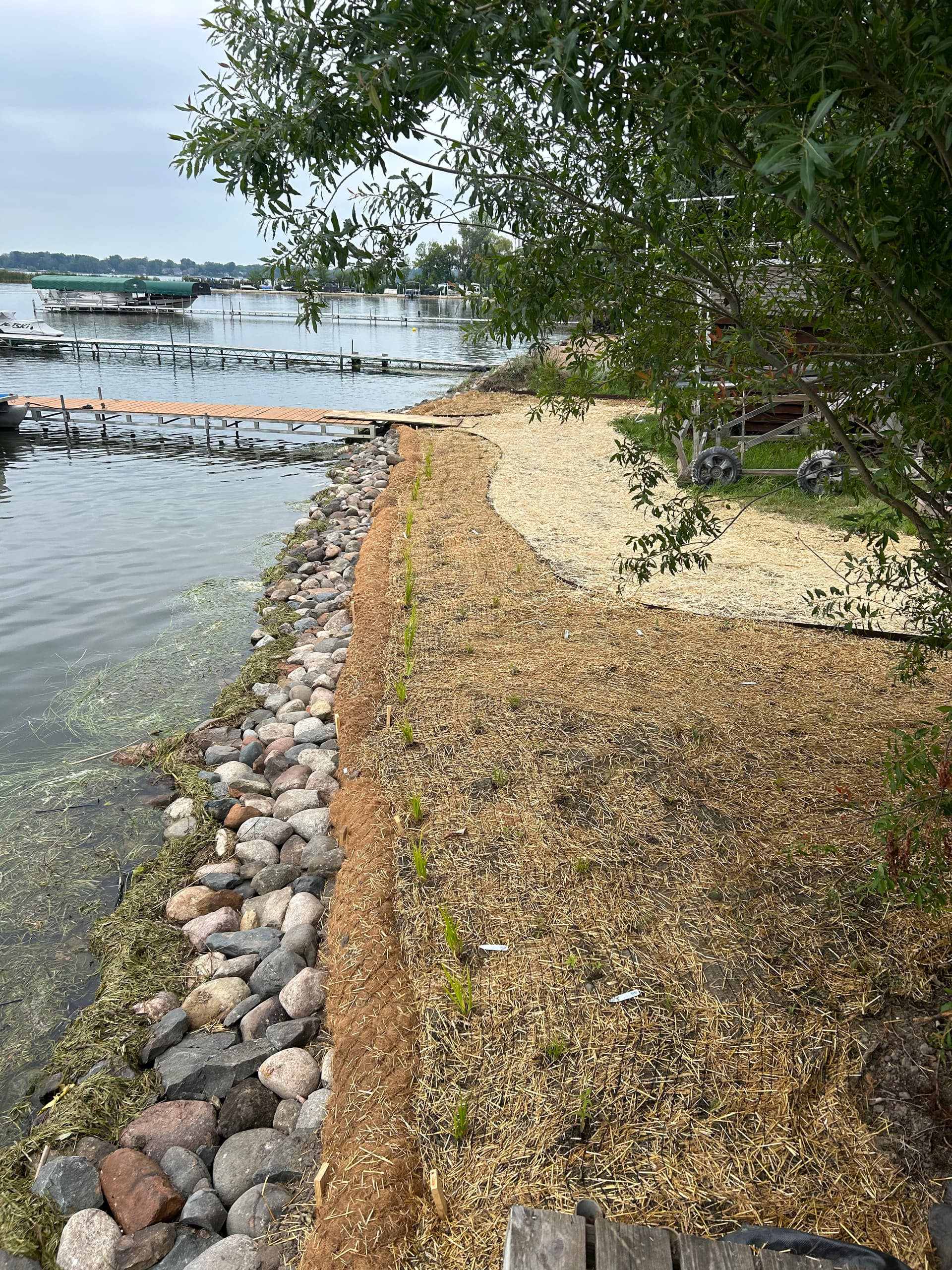 Gallery photos for Shoreline Restoration with Native Plants and Natural Materials: Image #2