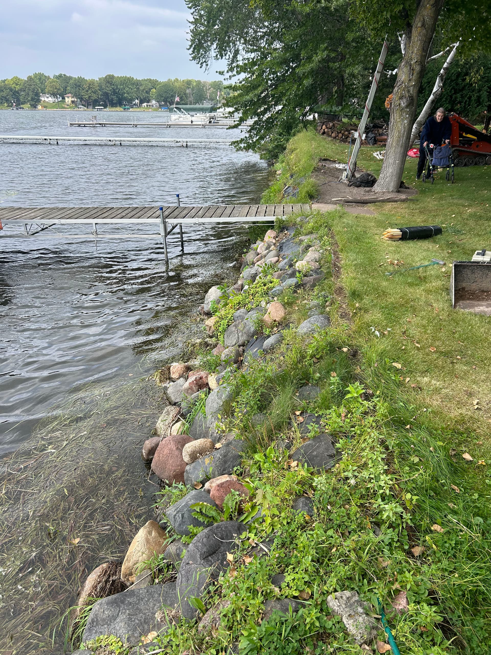 Shoreline Stability Boost in Forest Lake