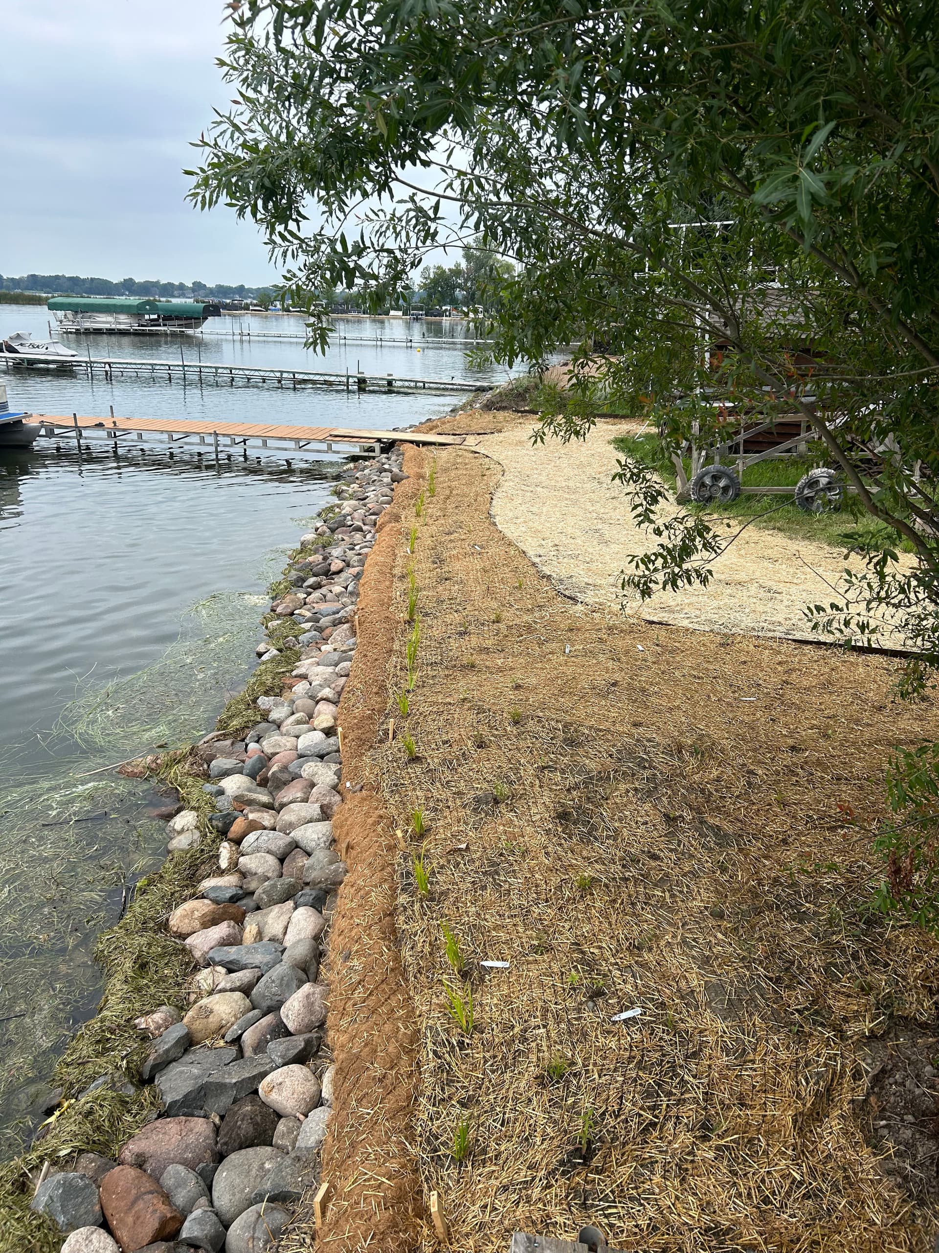 Shoreline Restoration with Native Plants and Natural Materials