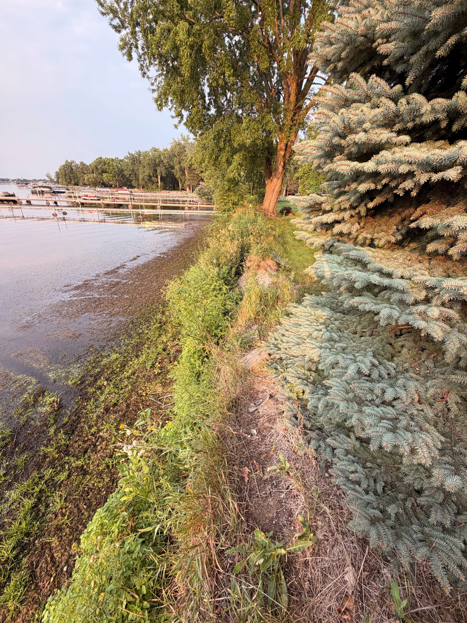 Gallery photos for Ice Heave Damage Fixed With a Full Lakeside Shoreline Restoration: Image #2