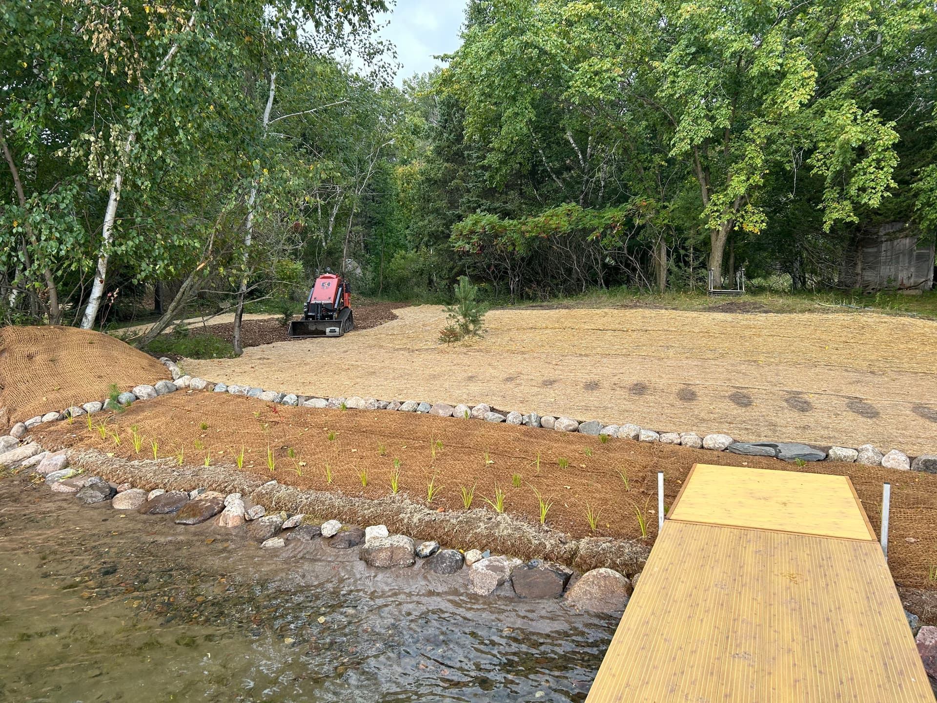 Blog post Natural Shoreline Restoration image