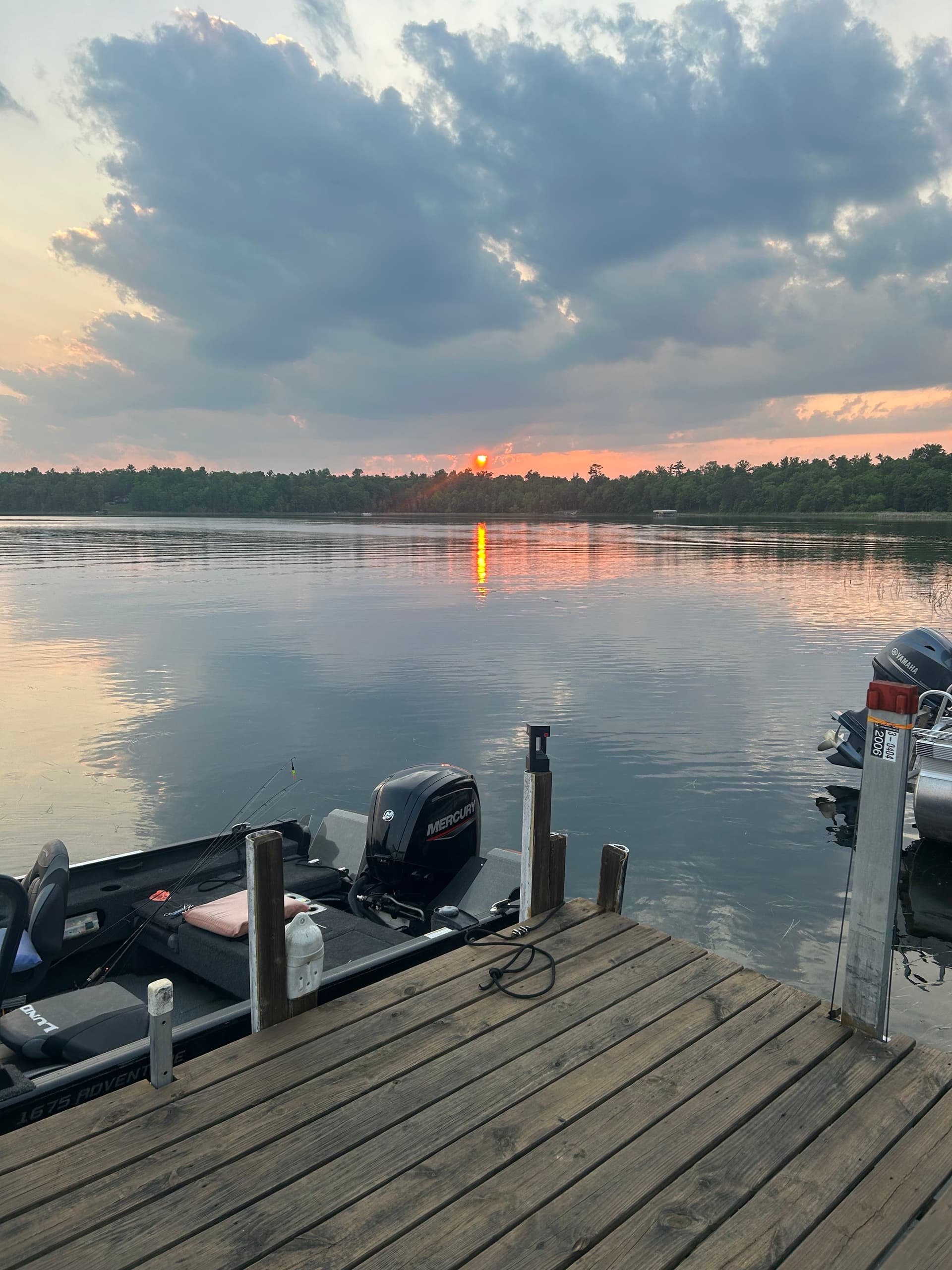 Blog post Best Native Minnesota Plants for Shoreline Stabilization image